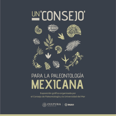Exposición Un consejo para la paleontología mexicana