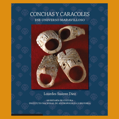 Conchas y caracoles: ese universo maravilloso