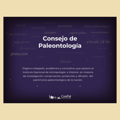 Consejo de Paleontología, ¿de qué va?