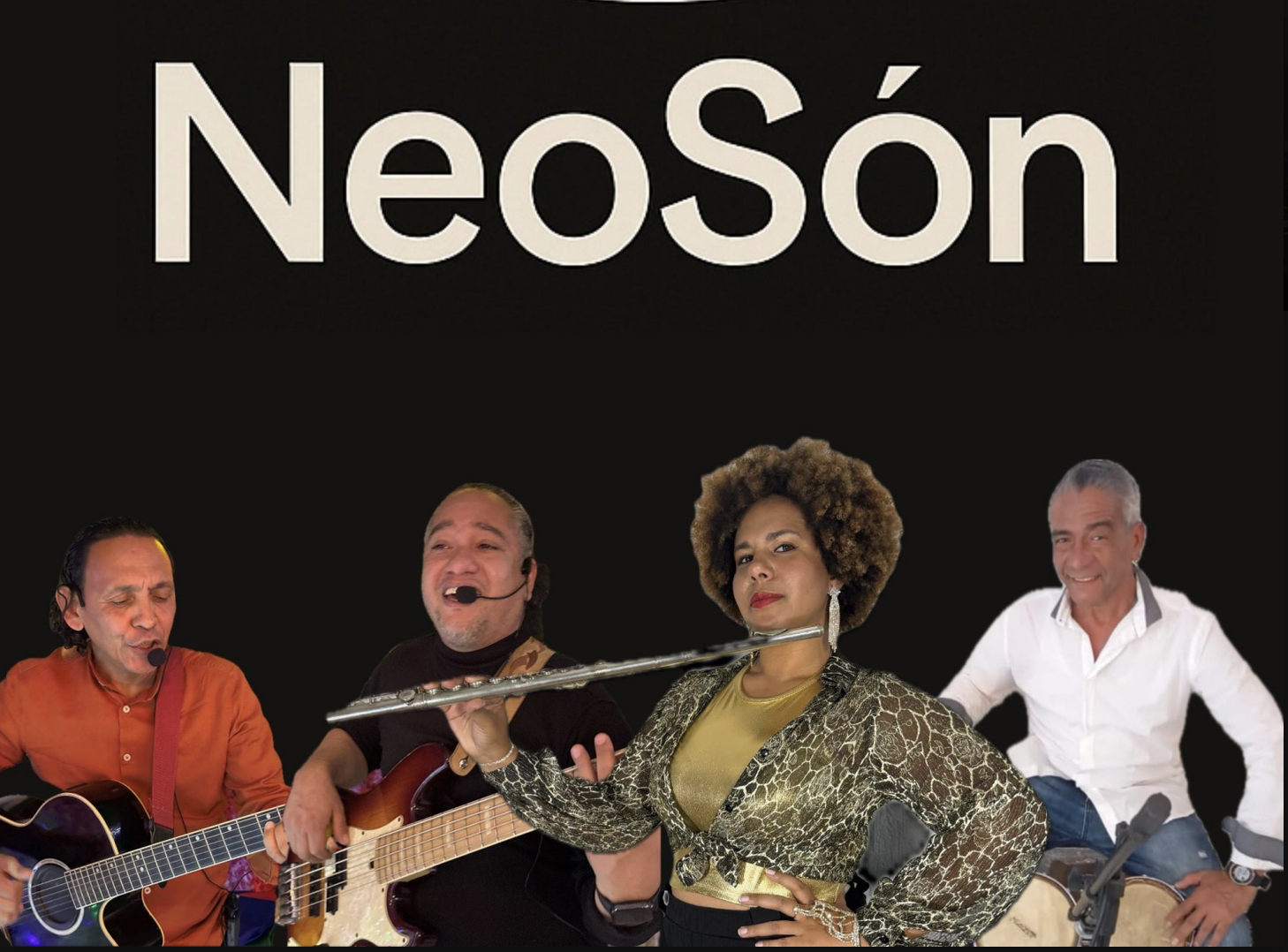 Grupo NeoSón