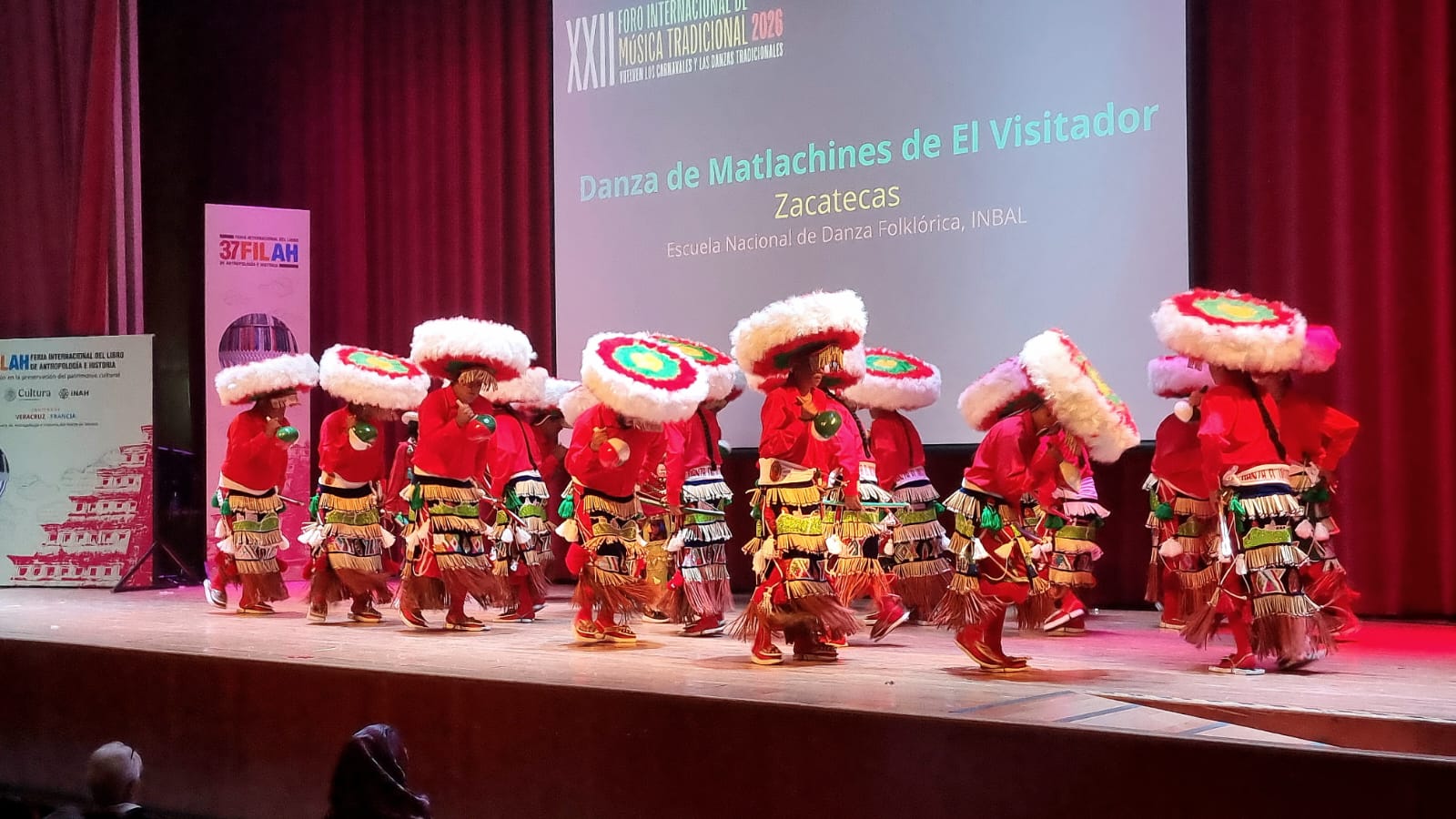 Danza de Matlachines de el Visitador